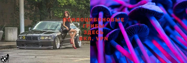 спайс Баксан