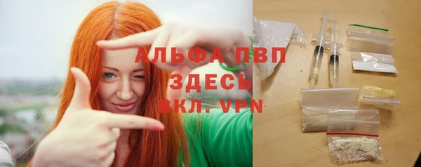 спайс Баксан